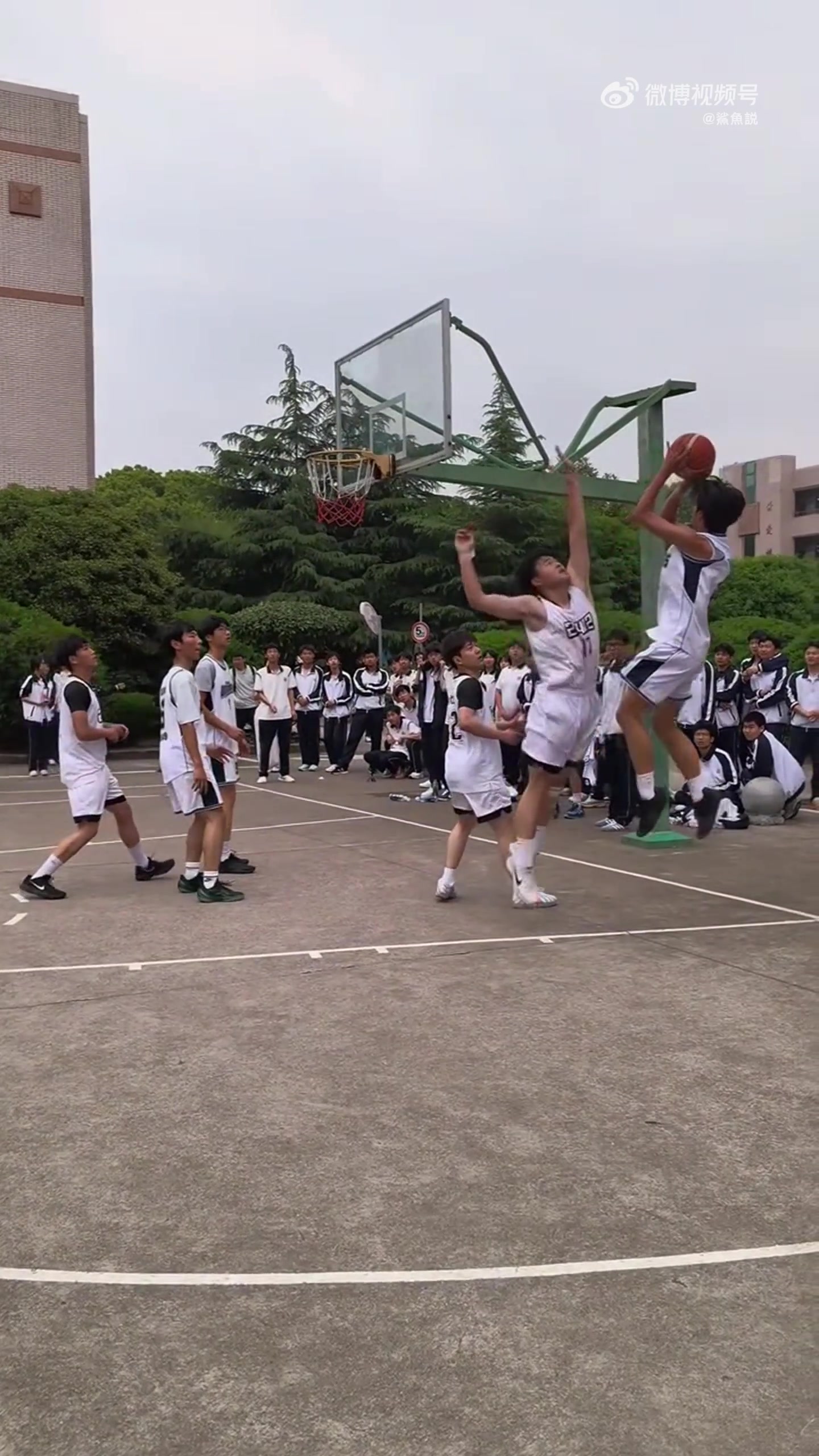 是篮球把这两种情绪演绎到淋漓尽致